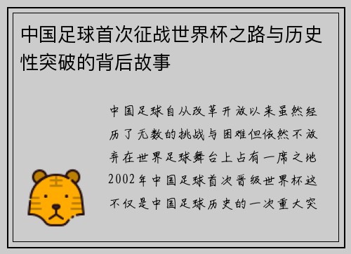 中国足球首次征战世界杯之路与历史性突破的背后故事